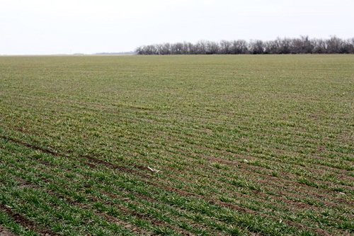 Property photo 16 - Kansas Land Auction - 960 Acres - 7 Farms in 3 Counties